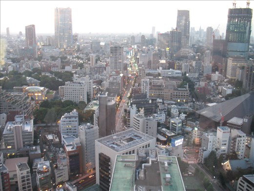 View over Tokyo