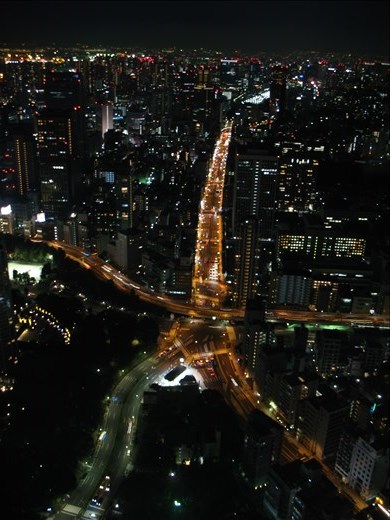 View of Tokyo