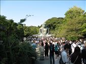 Kamakura: The Daibutsu (giant Buddha): by monika, Views[249]