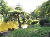 Hibiya park: by monika, Views[297]