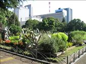 Hibiya park: Never forget you're in a city... : by monika, Views[601]