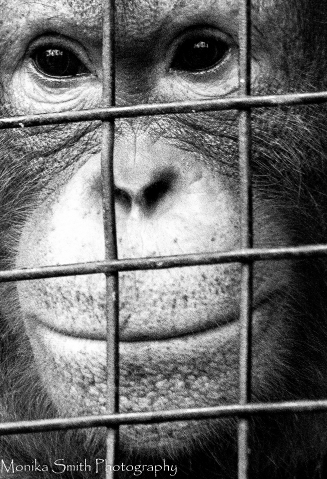 Forest School - Waiting patiently for his turn