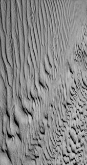 Nature Abstract: by mono, Views[276]