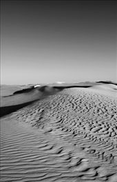 On Ansel Adams Path: by mono, Views[308]