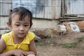 This young girl and her father were approved for resettlement by the US Department of Homeland Security in 2009. Her mother is still waiting for UN refugee status, so, with her family having chosen to stay together, the daughter remains trapped in the limbo of her birth place – a refugee camp. : by moonlight, Views[355]