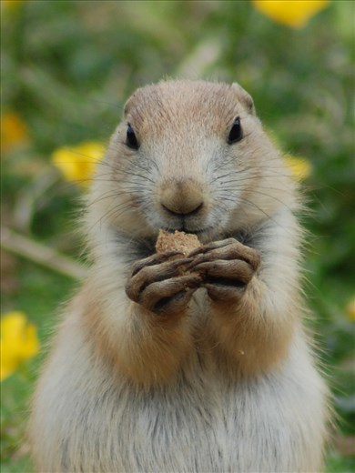 ok, so this one IS at the zoo