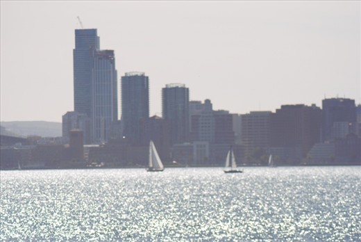 San Fran from Treasure Island