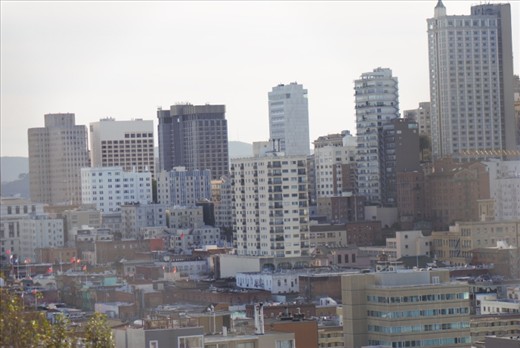 San Fran from the 1000 steps to death towards the Coit Tower