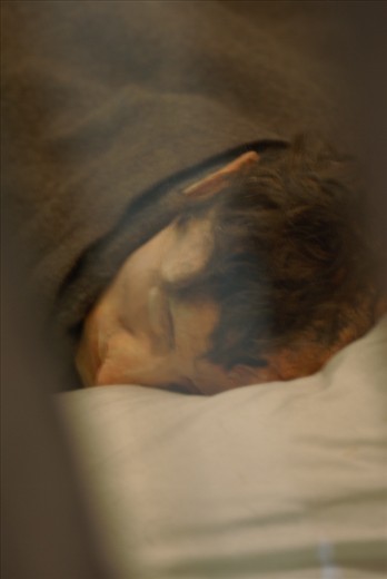 One of the fake heads used for the Great Escape