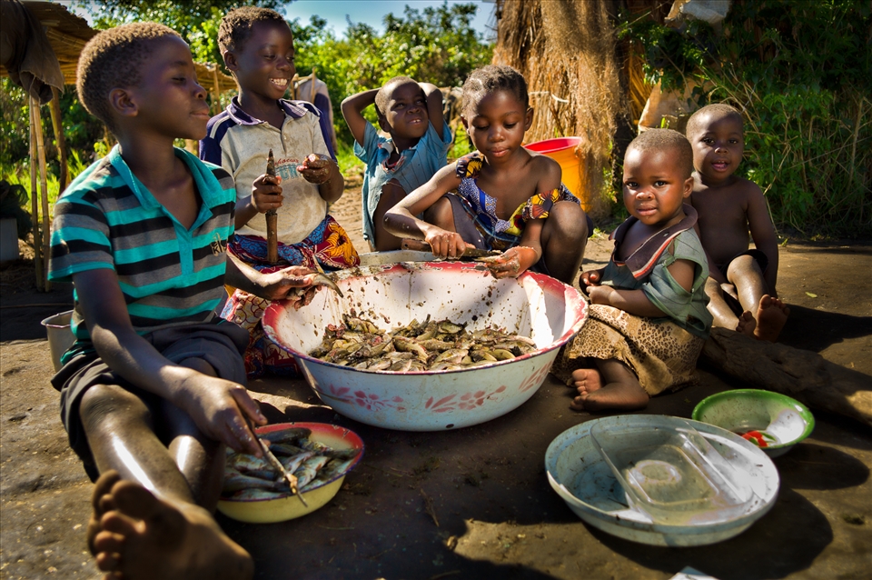 Children in the fishing village, hard at work cleaning the morning's catch