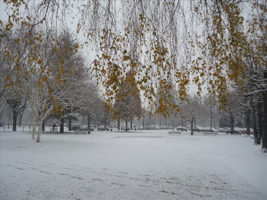 Its sounds...like the crackling of the falling leaves on the frozen soil when everything else seems to hold its breath