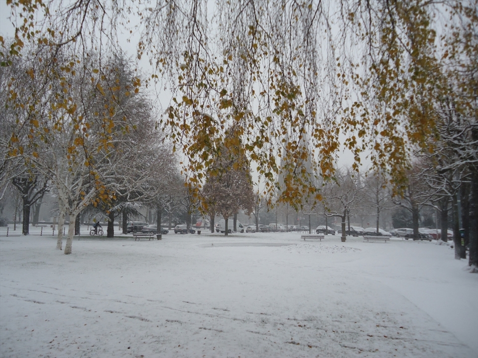 Its sounds...like the crackling of the falling leaves on the frozen soil when everything else seems to hold its breath