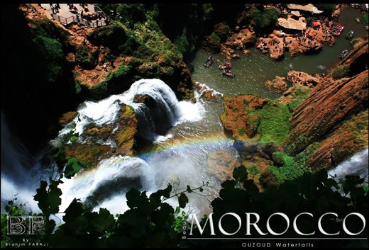 Life source's , Life color's !