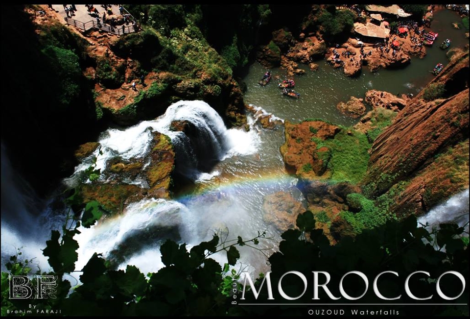 Life source's , Life color's !