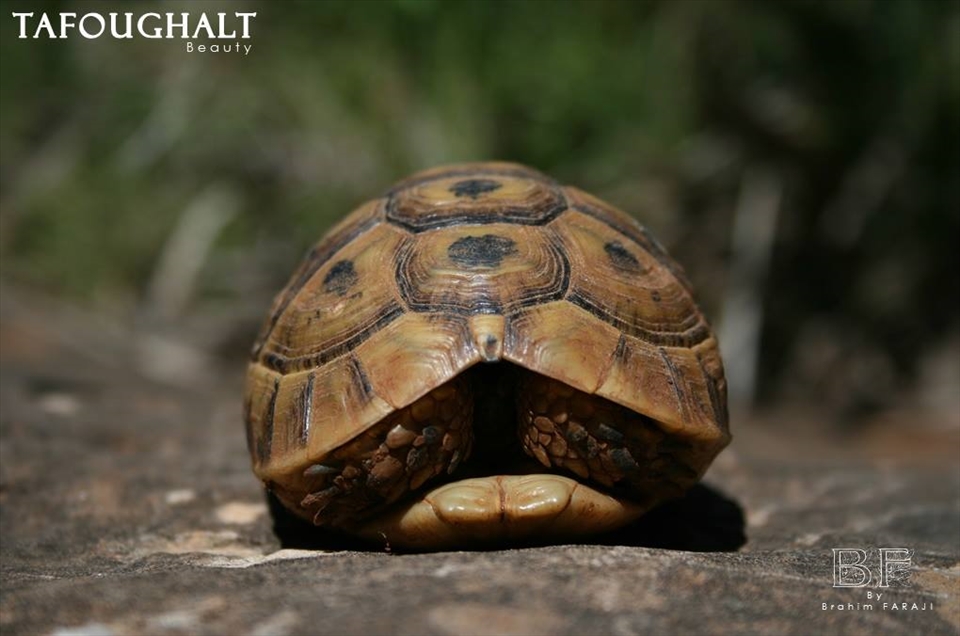 let me alone ! you people, you still destroying the world !