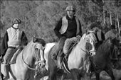 People of different ages celebrate the day of their local hero on a horse exodus. It takes two days with some stops.: by morokii, Views[634]
