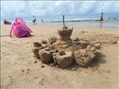 This is a sand sculpture made using coconut shells and left behind.: by mosaico, Views[331]