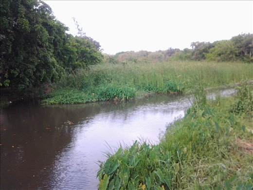 A river flows to the Indian Ocean from Camp Creole, Albion Mauritius
