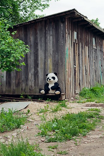Toy panda sitting in one of the yards