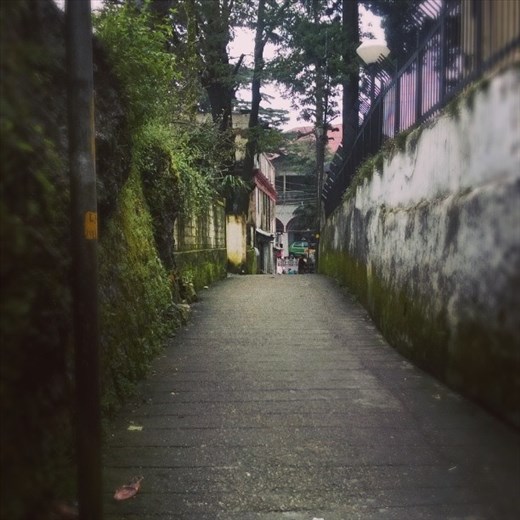 Camel's Back, Mussourie. Runs parallel to the Mall Road. Quieter, prettier. 