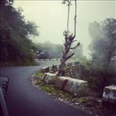 The Twister-Ninja roads. : by mountaindaughter, Views[168]