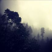 Through the fog. : by mountaindaughter, Views[153]