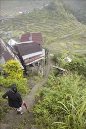 Going from upper to lower village involves climbing down 100s of steep steps. Everything has to be carried in by men.: by mountainvillage, Views[294]