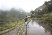 A boy walks along the edge of a rice field, which is also the 'main road' connecting upper and lower village.: by mountainvillage, Views[305]