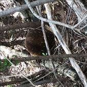 by mpatch67, Views[145]