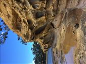 by mpatch67, Views[170]