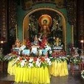 by mpatch67, Views[185]