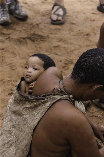A San child hangs in a bag staring out at its surroundings. This is the traditional way of carrying a San child. This would make it easier for the women to gather and cook food.