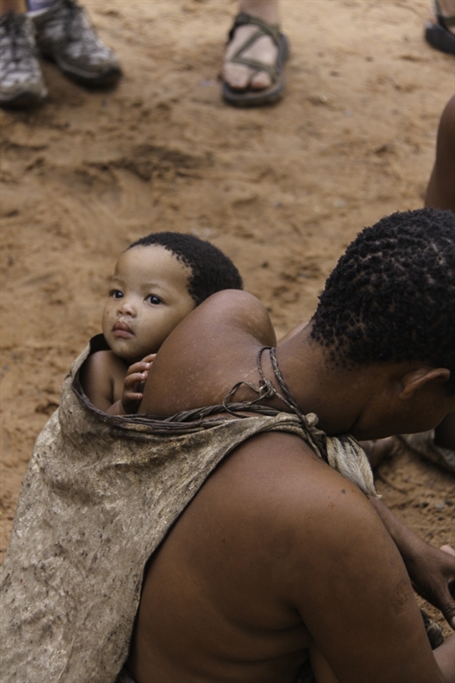 A San child hangs in a bag staring out at its surroundings. This is the traditional way of carrying a San child. This would make it easier for the women to gather and cook food.