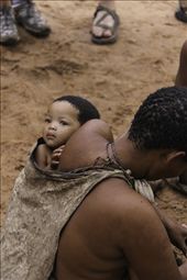 A San child hangs in a bag staring out at its surroundings. This is the traditional way of carrying a San child. This would make it easier for the women to gather and cook food.: by mphipps, Views[368]