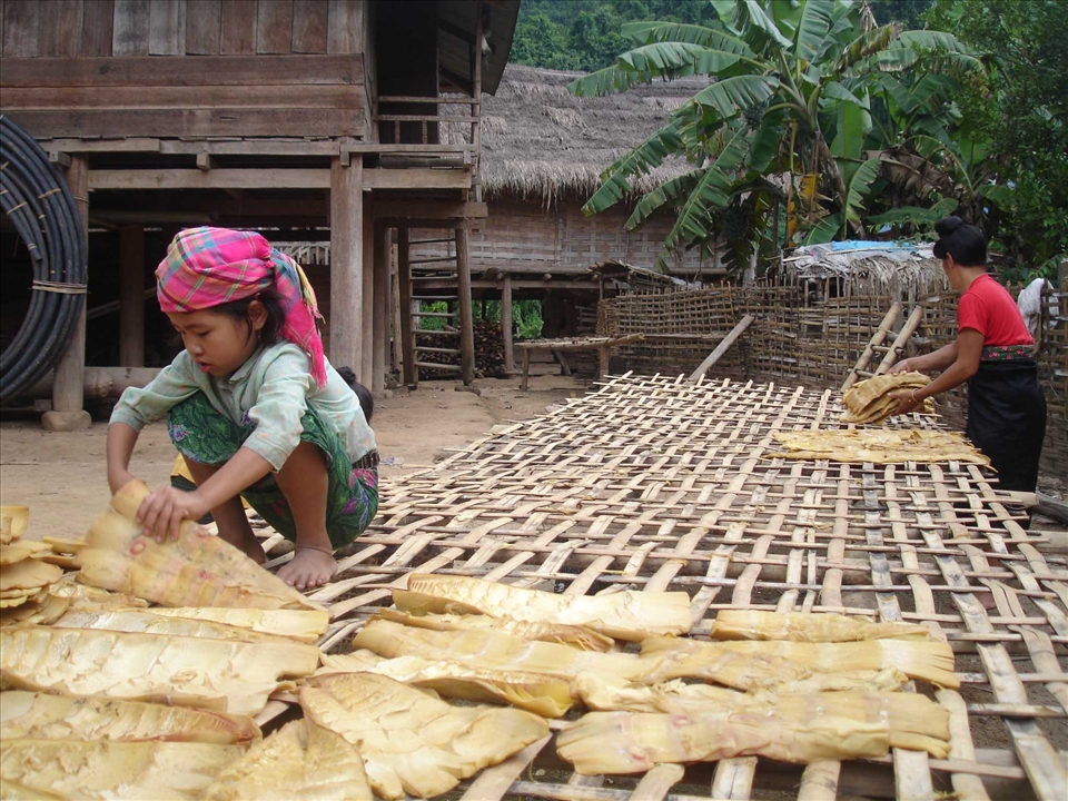 Taidam people were drying Bamboos to keep for longer time and sold to Vietnamese sellers. Phongsaly, Lao PDR