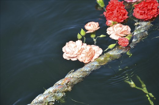 Hundreds of people were at this event but how many looked into the water?