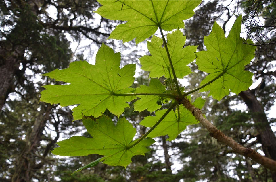 As photographers we must find new angles and go to the extreme