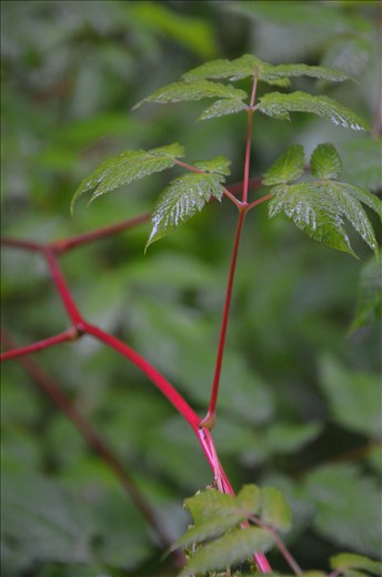 When people hike miles to see the landscape we show what they missed.