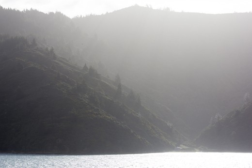 tree line in haze right to the water.Tory channel Marlborough sounds NZ