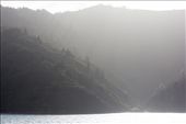 tree line in haze right to the water.Tory channel Marlborough sounds NZ: by mr_hanson, Views[321]