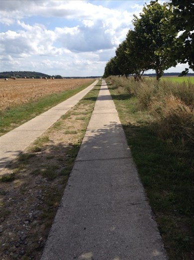 Nice cycling in Northern Germany