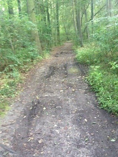 Dirt trail in (former) East Germany