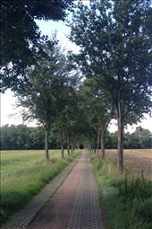 Nice scenery on day 2: by mrandrew, Views[194]