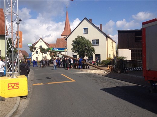 Raising the maypole tree in a small town.