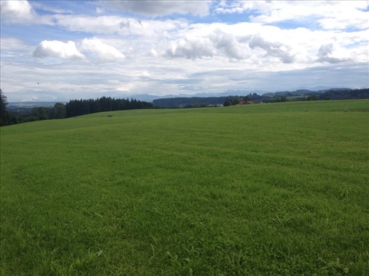 First glimpse of the Alps...