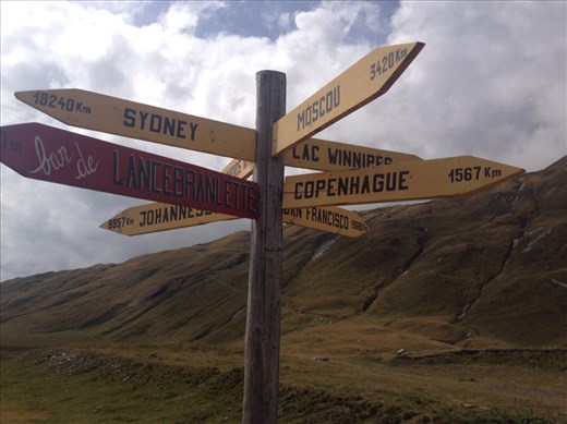 Sydney and Copenhagen both get a mention. At the top of Petite St Bernard