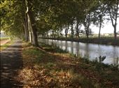 Canal du Midi: by mrandrew, Views[267]