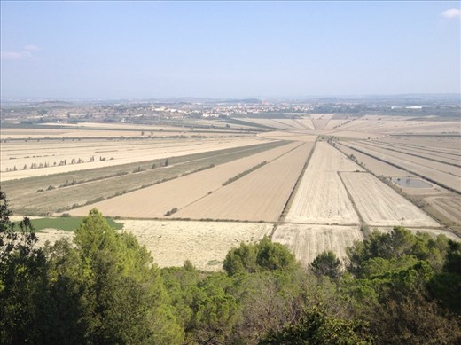 Etang de Montady - a wetland that was drained in 13th century, making a nice big circle