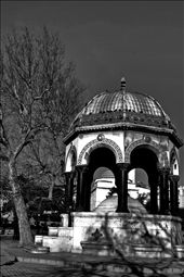 by mrbollau, Views[123]