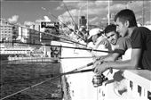 Fisherman stand shoulder-to-shoulder on Galata Bridge around the clock.: by mrenwick, Views[386]